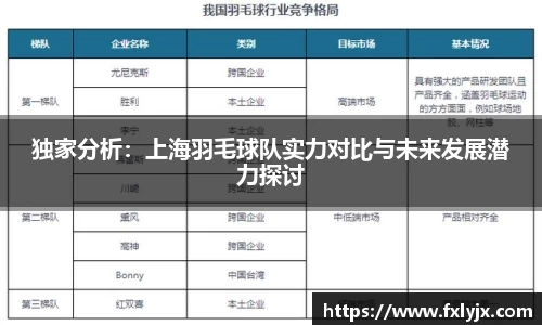 独家分析：上海羽毛球队实力对比与未来发展潜力探讨