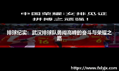 排球纪实：武汉排球队勇闯高峰的奋斗与荣耀之路