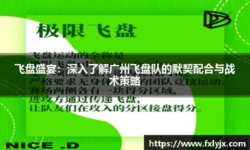 飞盘盛宴：深入了解广州飞盘队的默契配合与战术策略