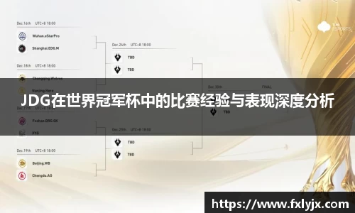 JDG在世界冠军杯中的比赛经验与表现深度分析