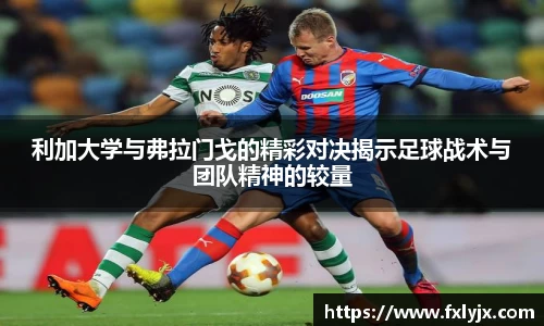 球速体育官方